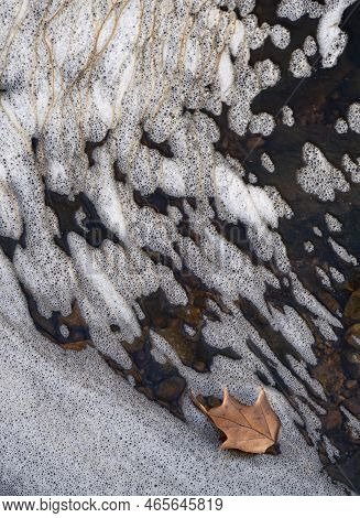 A Small Copper Colored Leaf Is Cuaght In Apocket Foam Created By Cascading Water In Sawmill Creek, W