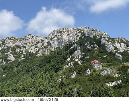 Peak Veliki Risnjak (1,528 M) In Risnjak National Park, Crni Lug - Croatia (vrh Veliki Risnjak (1.52