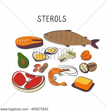 Sterols-containing Food. Groups Of Healthy Products Containing Vitamins And Minerals. Set Of Fruits,