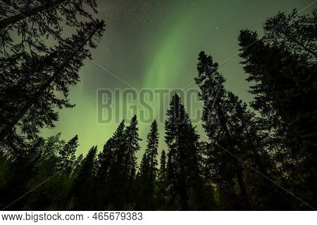 Aurora Shining Swedish Forest Landscape Tannforsen Waterfall Northern Lights Color Sky Northern Swed