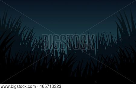 Grass Night. Nature Rural Landscape. Pasture Overgrown. Overgrown Dense Lawn. Vector.