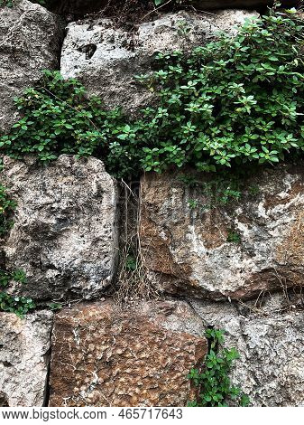 Acient Brick Wall. Grunge Brick Wall Background. Background Of Old