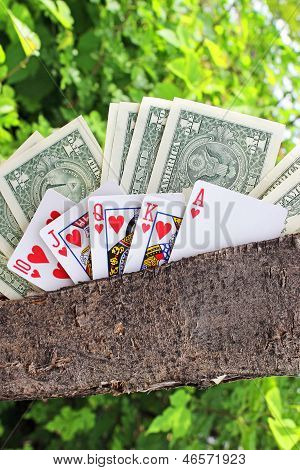 Money tree and playing cards