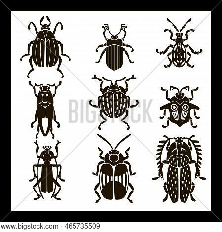 Set Beetles Are Black On A White Background. The Outline Of An Insect-beetle. Beetles In A Black Fil