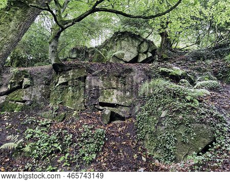 Kennall Vale Nature Reserve, Ponsanooth, Cornwall, United Kingdom