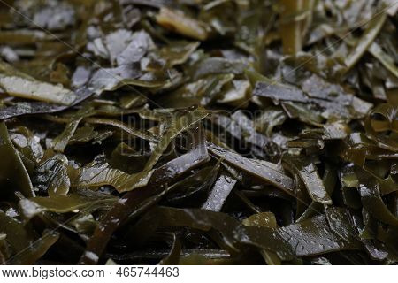 Fresh Laminaria (kelp) Seaweed As Background, Closeup