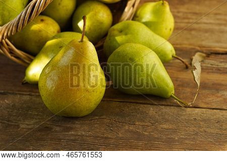 Pears On A Wooden Background. Fruit Harvest. Autumn Still Life. Pear Variety Bera Conference.