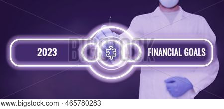 Text Sign Showing 2023 Financial Goals. Word Written On Highest Quality Done In All Fields Preparing