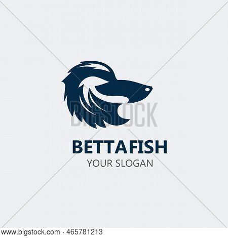 Betta Fish Modern Logo Style Design Vector Image Illustration