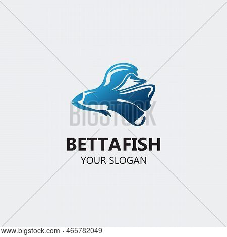 Betta Fish Modern Logo Style Design Vector Image Illustration