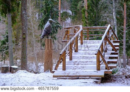 Wooden Viewing Platform By The River. Nature Park Salaca. Skanaiskalns Nature Park. November Is The 