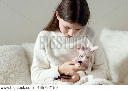 Smiling Young Girl In White Jamper Stroking A Cat And Using Smartphone Indoors. Bald Pedigreed Sphin