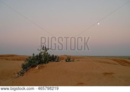 Moon Set. View Of Thar Desert Sand Dunes , Pre Dawn Light Before Sun Rise And Moon Setting Off In Th