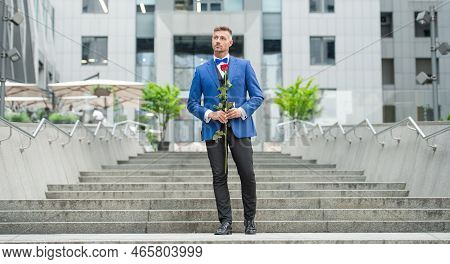 Elegant Man Bridegroom In Tuxedo. Bridegroom Wearing Tuxedo Bowtie Outdoor. Luxury Bridegroom