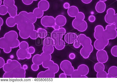 Artistic Beautiful Pink Big Amount Of Bio Primitive Organisms Computer Art Texture Background Illust