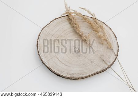 Natural Still Life. Wooden Cutting Board, Timber With Dry Grass, Festuca Plant Isolated On White Tab
