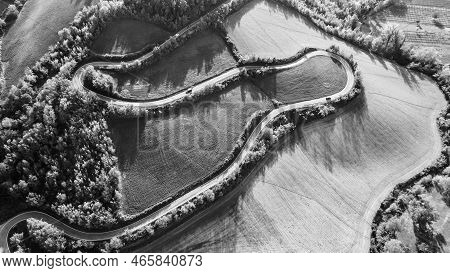 The Serpentine Road Goes Up The Hill Between Fields And Trees. Black And White Photo