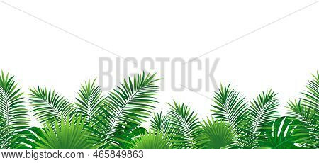 Tropical Leaves Seamless Pattern Vector Illustration. Rainforest Border Frame. Jungle Plants Templat