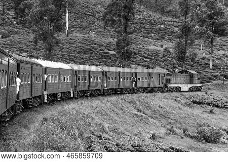 Riding By Train At The Scenic Mountain Track From Nuwarelia To Colombo