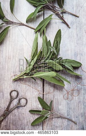 Bunch Of Green Sage Leaves On Gray Wooden Table, Herbs Scissors String Flat Lay, Overhead View
