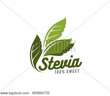 Stevia Leaves Icon. Stevia Natural Sweetener Minimalistic Emblem Or Sign, Organic Food Store Or Shop
