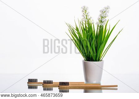 Eco Toothbrushes Made Of Wood On A Table With A Green Branch