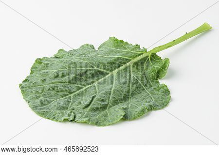 kale, kail, leaf cabbage isolated on white background
