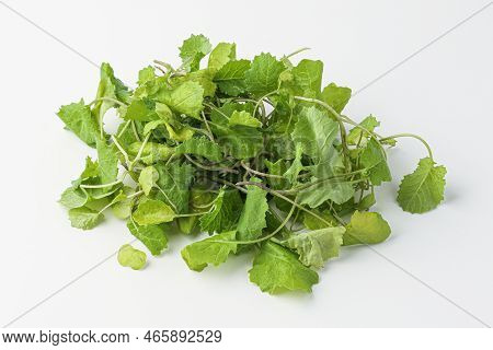 baby kale, baby kail isolated on white background