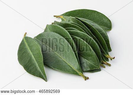 guava, guava leaf isolated on white background