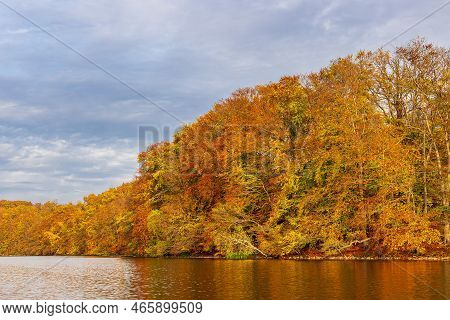 View Over The Lake Schmaler Luzin To A Landscape In Autumn Near Feldberg, Germany.