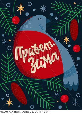 Privet, Zima - Hello Winter - Festive Russian Greeting Phrase, Hand Drawn Lettering Art With Bullfin