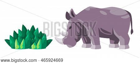 Rhinoceros Rhino Eat Gress Plant Giant Animal With Horn Grey Color Cartoon Illustration