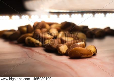 Brazil Nuts Heart Healthy Snake Close Up Shot