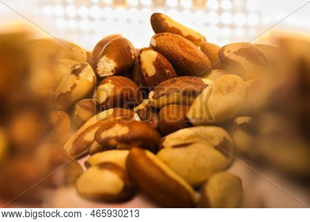 Brazil Nuts Heart Healthy Snake Close Up Shot