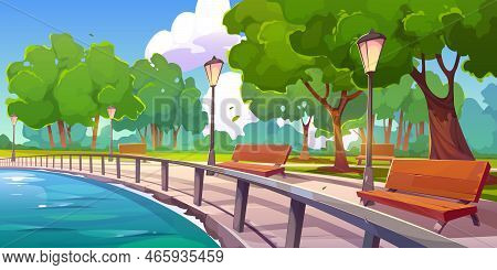 Summer Park Landscape With Lake Or River Embankment, Green Trees And Wooden Benches. Empty Promenade