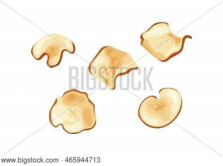 Apple Fruit Chips Dry Crips Slice. Organic Food Baked Delicious. Vector Illustration