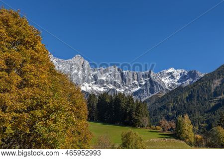 Autumn Yellow Leaf Of Trees Against The Background Of Clear Sky And Alpine Mountains. Austria.