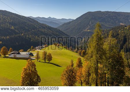 A Beautiful View Of A Bright Yellow Field Against The Backdrop Of Distant Mountains. The Dachstein M