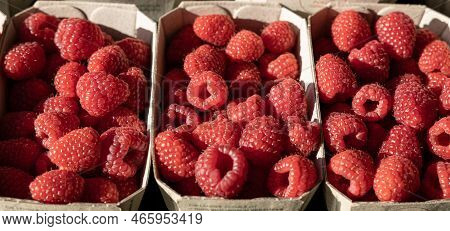 Ripe Beautiful Selected Raspberries Are Sold In Cardboard Boxes On The Open Market, Austria, Salzbur