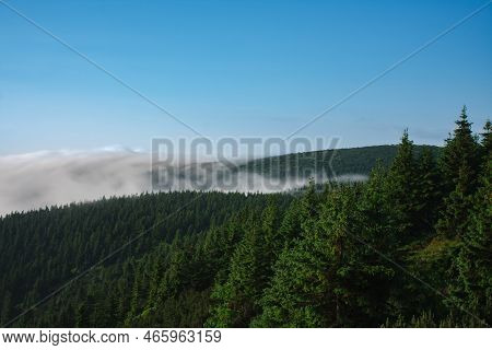 View From  Serak In Jeseniky Mountains On A Summer Foggy Morning And  Sea Of Clouds Around Mountain 