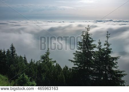 View From  Serak In Jeseniky Mountains On A Summer Foggy Morning And  Sea Of Clouds Around Mountain 