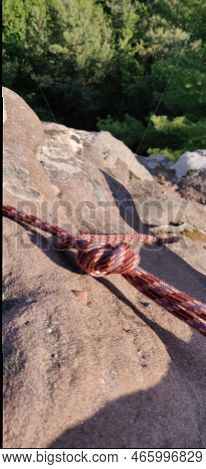 Platinated Forest Pfalz Rock Climbing Views Forest Summer
