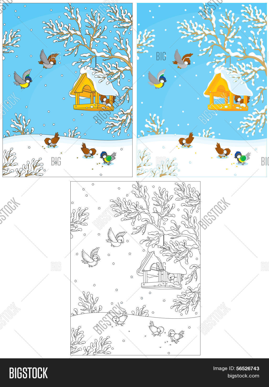 Image Preview