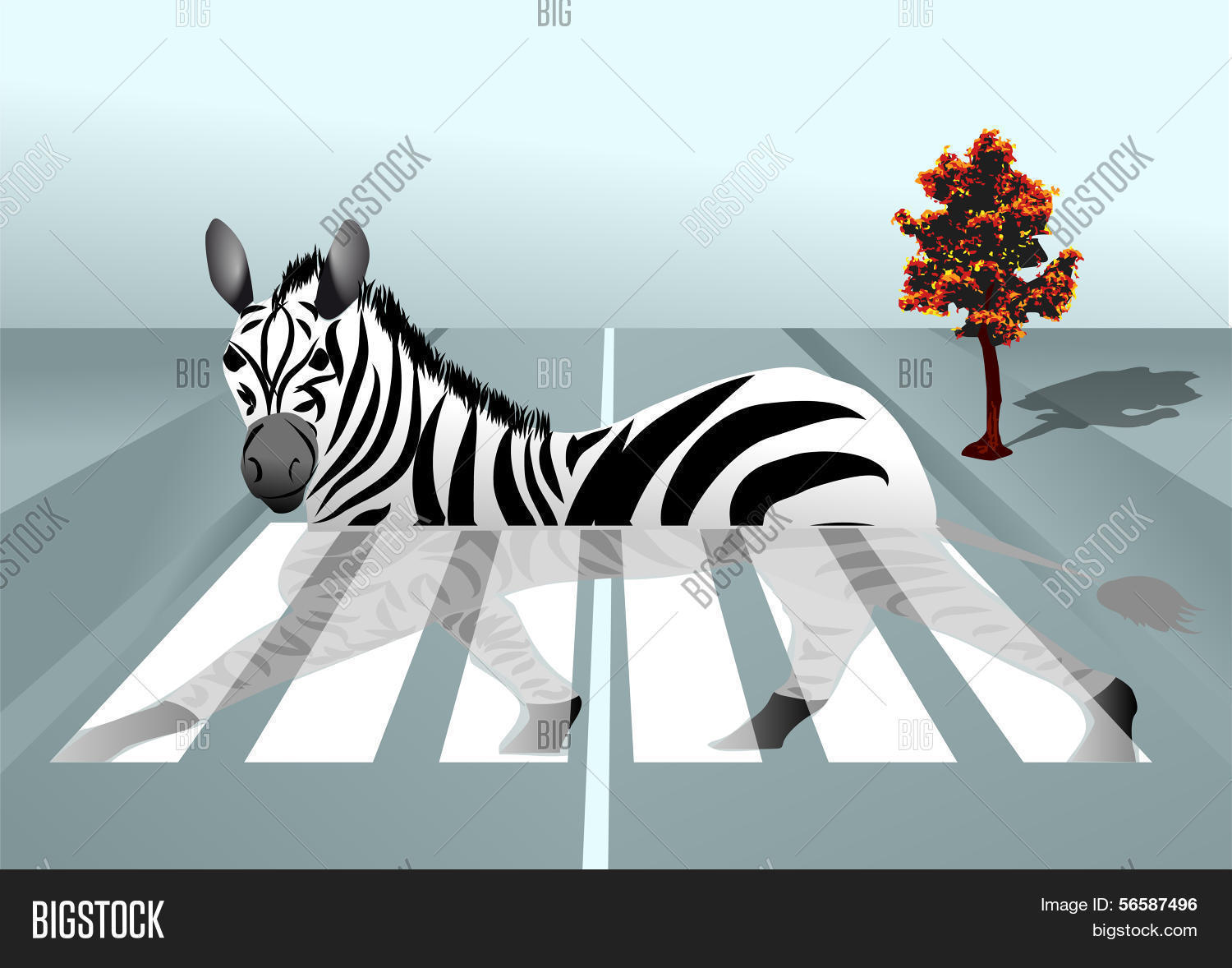 Image Preview