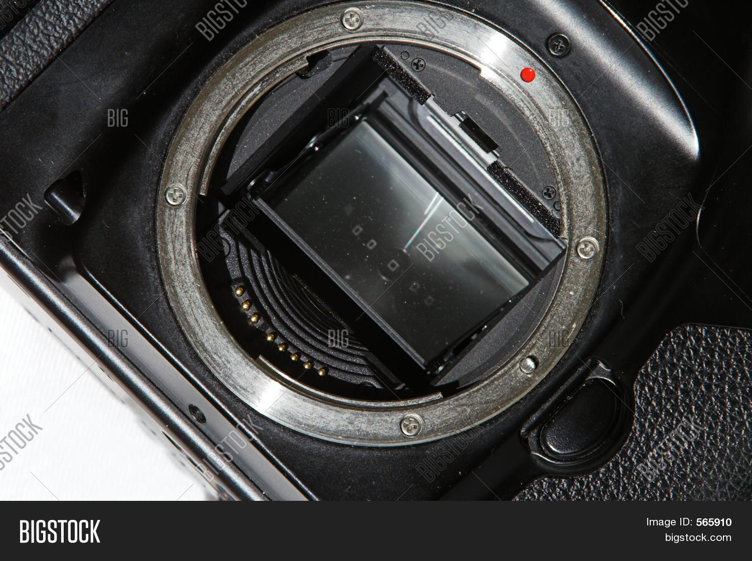 Image Preview