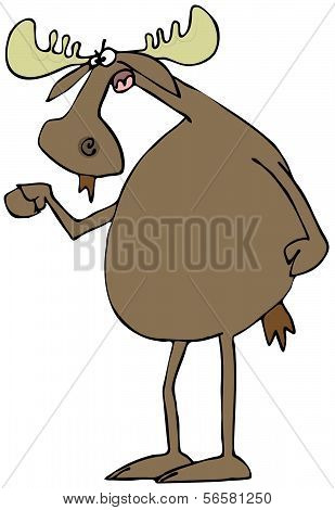 Irate moose