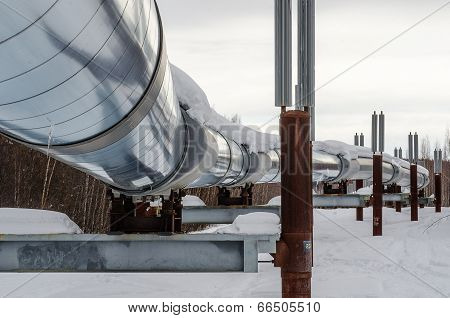 Alaskan Pipeline