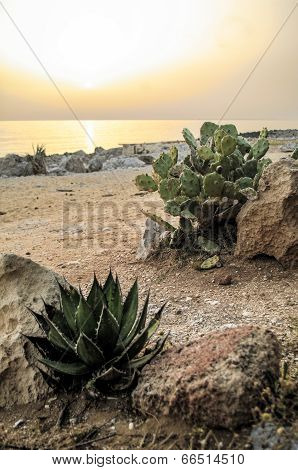 Italy, Sicily, San Vito Lo Capo