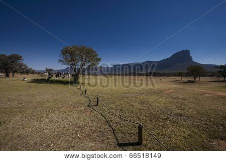 African Landscape