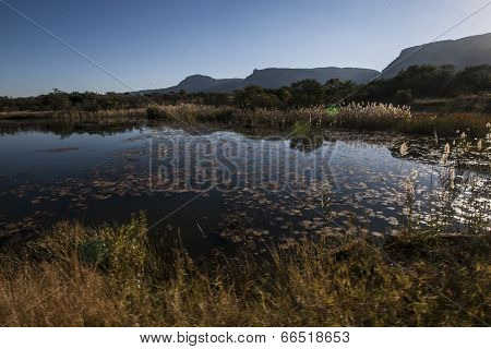 African Landscape